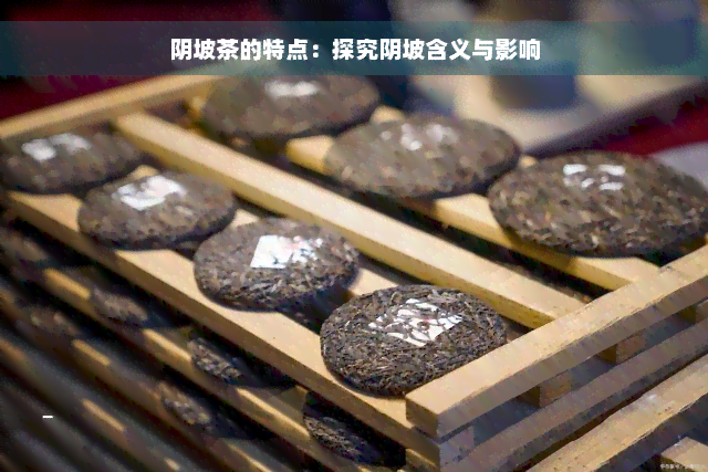 阴坡茶的特点：探究阴坡含义与影响