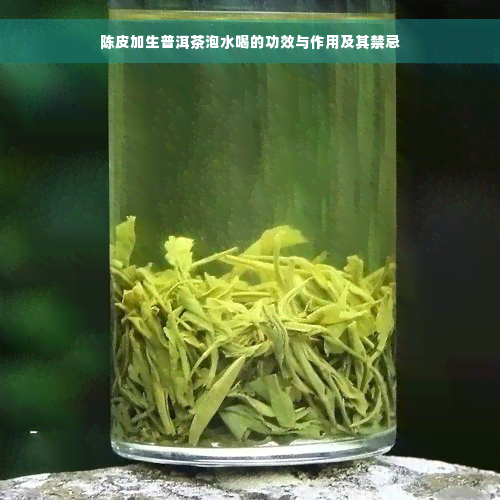 陈皮加生普洱茶泡水喝的功效与作用及其禁忌