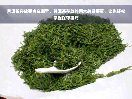 普洱茶存放要点在哪里，普洱茶存放的四大关键要素，让你轻松掌握保存技巧