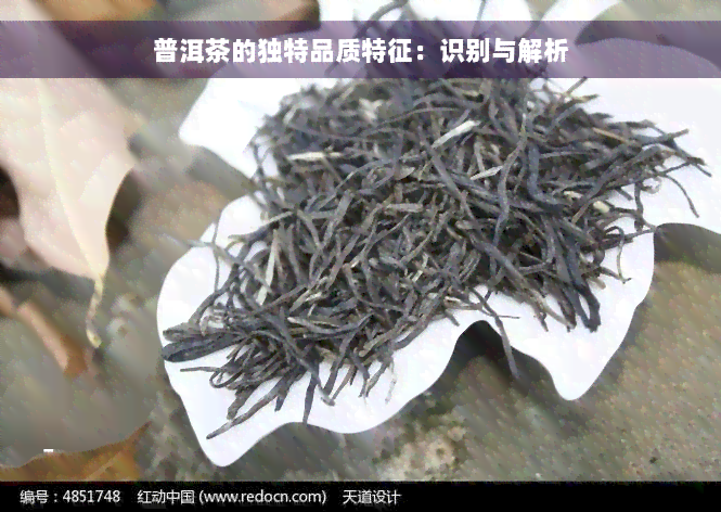 普洱茶的独特品质特征：识别与解析