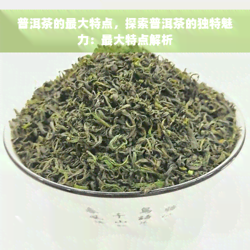 普洱茶的更大特点，探索普洱茶的独特魅力：更大特点解析