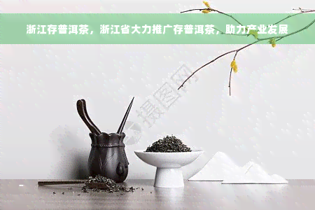 浙江存普洱茶，浙江省大力推广存普洱茶，助力产业发展