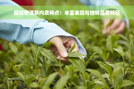 探究普洱茶内质特点：丰富表现与独特品质特征