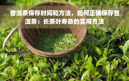 普洱茶保存时间和方法，如何正确保存普洱茶：长茶叶寿命的实用方法