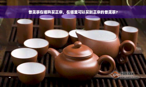 普洱茶在哪购买正宗，在哪里可以买到正宗的普洱茶？