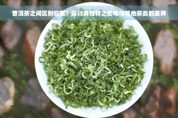 普洱茶之间区别在哪？探讨其独特之处与与其他茶类的差异