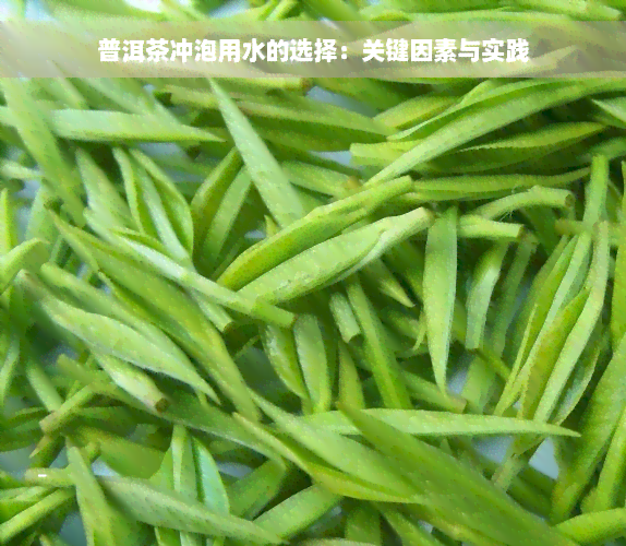 普洱茶冲泡用水的选择：关键因素与实践