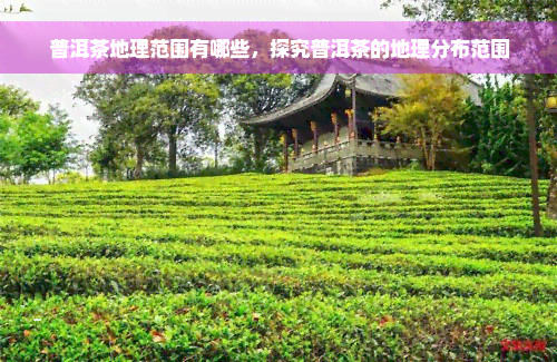 普洱茶地理范围有哪些，探究普洱茶的地理分布范围