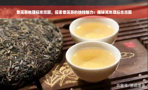 普洱茶地理标志范围，探索普洱茶的独特魅力：揭秘其地理标志范围