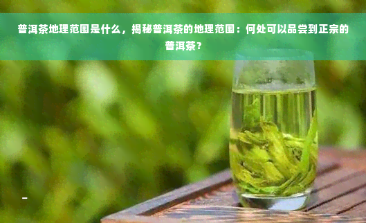 普洱茶地理范围是什么，揭秘普洱茶的地理范围：何处可以品尝到正宗的普洱茶？