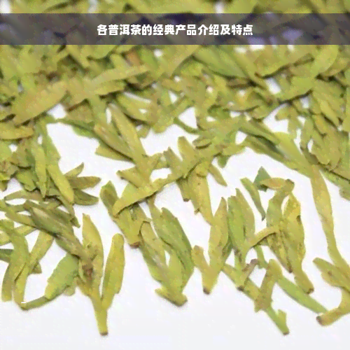 各普洱茶的经典产品介绍及特点