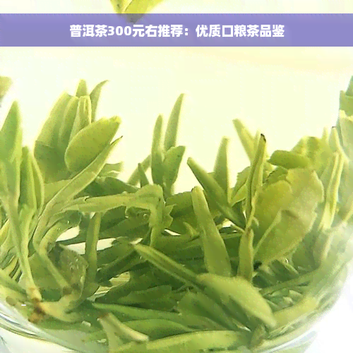 普洱茶300元右推荐：优质口粮茶品鉴