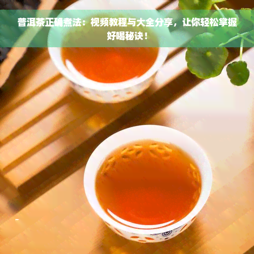 普洱茶正确煮法：视频教程与大全分享，让你轻松掌握好喝秘诀！