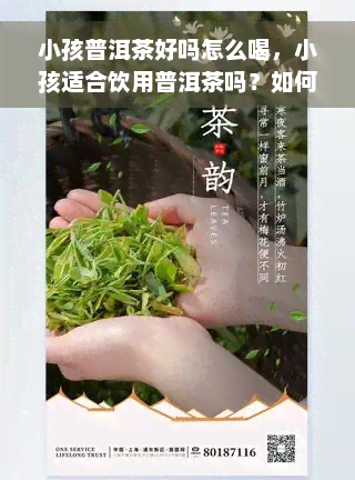 小孩普洱茶好吗怎么喝，小孩适合饮用普洱茶吗？如何正确泡饮？