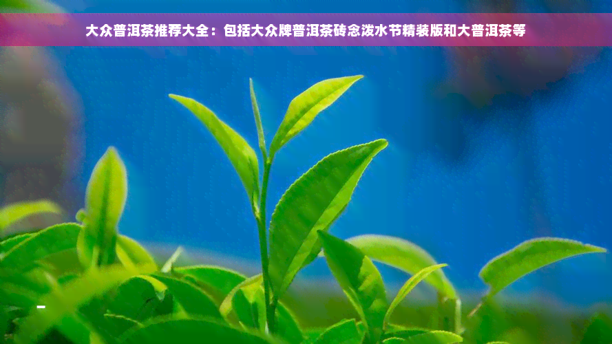 大众普洱茶推荐大全：包括大众牌普洱茶砖念泼水节精装版和大普洱茶等