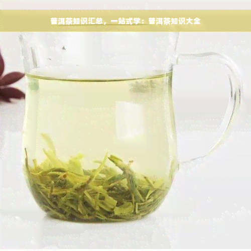 普洱茶知识汇总，一站式学：普洱茶知识大全