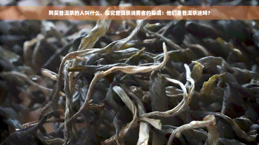 购买普洱茶的人叫什么，探究普洱茶消费者的称谓：他们是普洱茶迷吗？