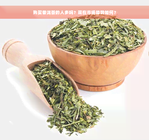 购买普洱茶的人多吗？现在市场趋势如何？