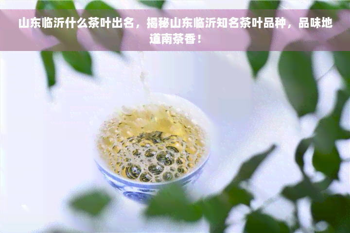 山东临沂什么茶叶出名，揭秘山东临沂知名茶叶品种，品味地道南茶香！