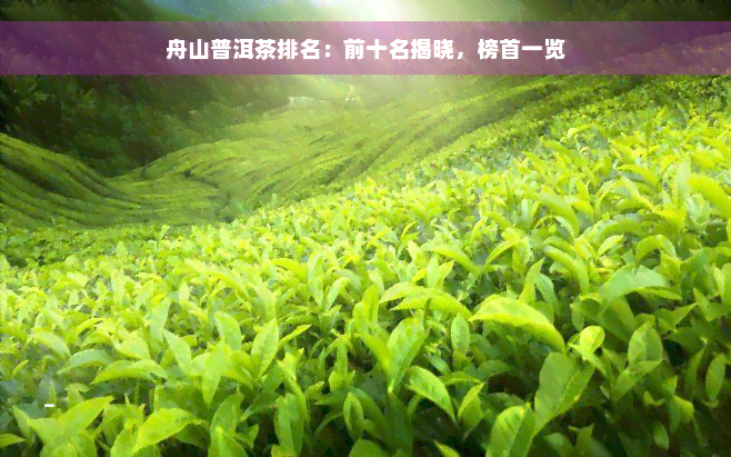 舟山普洱茶排名：前十名揭晓，榜首一览