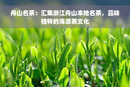 舟山名茶：汇集浙江舟山本地名茶，品味独特的海派茶文化