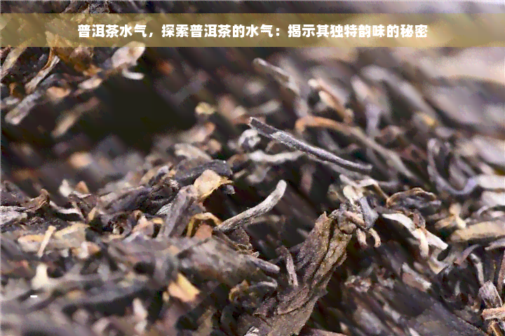 普洱茶水气，探索普洱茶的水气：揭示其独特韵味的秘密