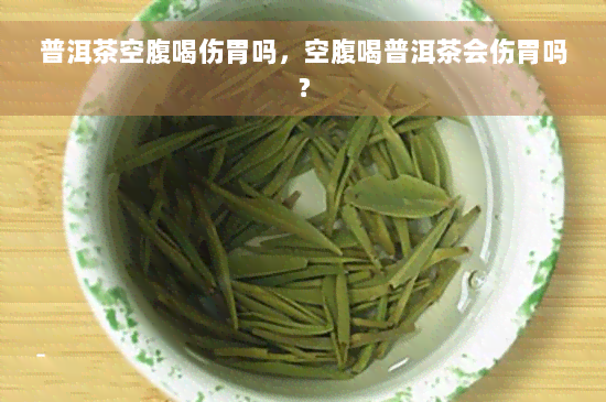 普洱茶空腹喝伤胃吗，空腹喝普洱茶会伤胃吗？