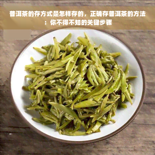 普洱茶的存方式是怎样存的，正确存普洱茶的方法：你不得不知的关键步骤