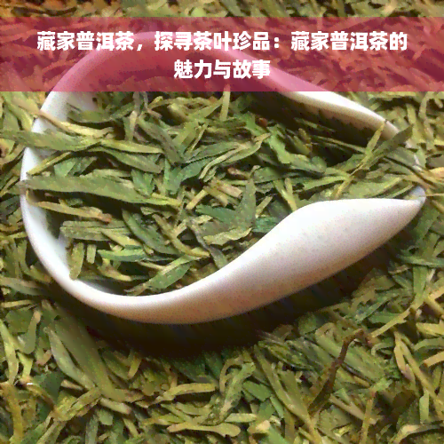 藏家普洱茶，探寻茶叶珍品：藏家普洱茶的魅力与故事