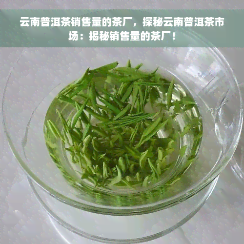 云南普洱茶销售量的茶厂，探秘云南普洱茶市场：揭秘销售量的茶厂！