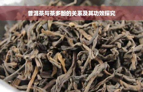 普洱茶与茶多酚的关系及其功效探究