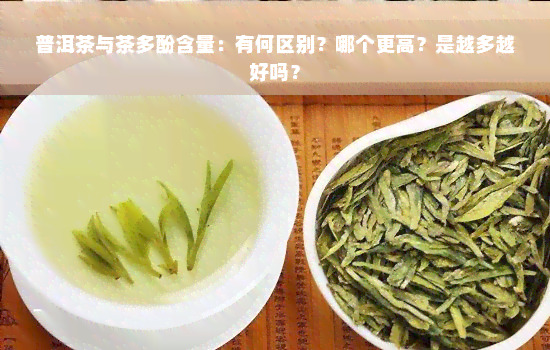 普洱茶与茶多酚含量：有何区别？哪个更高？是越多越好吗？