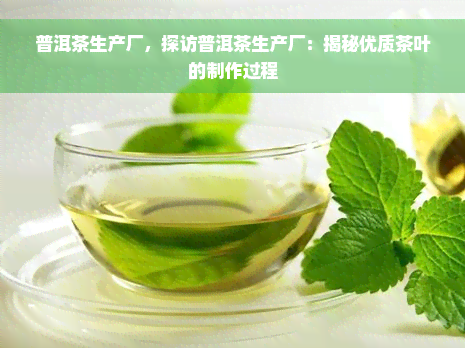 普洱茶生产厂，探访普洱茶生产厂：揭秘优质茶叶的制作过程