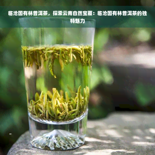 临沧国有林普洱茶，探索云南自然宝藏：临沧国有林普洱茶的独特魅力