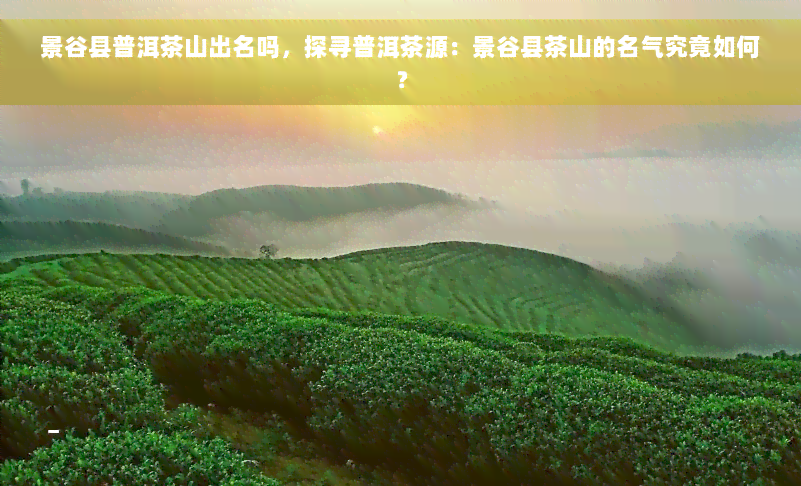 景谷县普洱茶山出名吗，探寻普洱茶源：景谷县茶山的名气究竟如何？