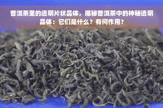 普洱茶里的透明片状晶体，揭秘普洱茶中的神秘透明晶体：它们是什么？有何作用？