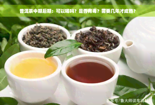 普洱茶中期后期：可以喝吗？是否有毒？需要几年才成熟？