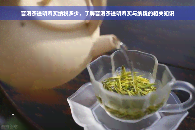 普洱茶透明购买纳税多少，了解普洱茶透明购买与纳税的相关知识