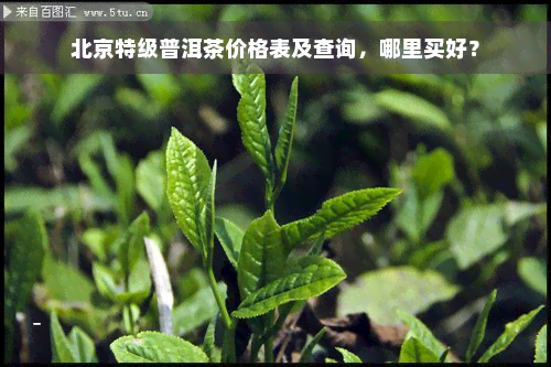 北京特级普洱茶价格表及查询，哪里买好？