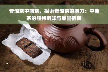 普洱茶中期茶，探索普洱茶的魅力：中期茶的独特韵味与品尝指南