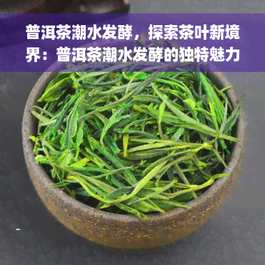 普洱茶潮水发酵，探索茶叶新境界：普洱茶潮水发酵的独特魅力