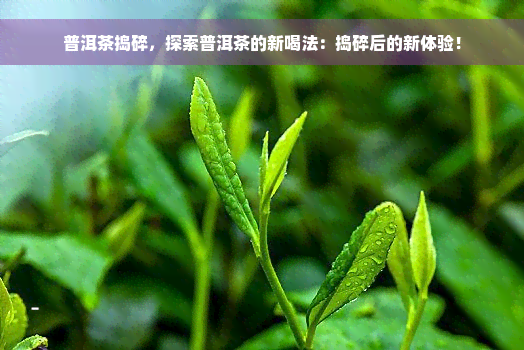 普洱茶捣碎，探索普洱茶的新喝法：捣碎后的新体验！