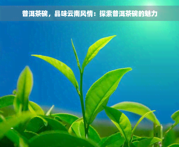 普洱茶碗，品味云南风情：探索普洱茶碗的魅力