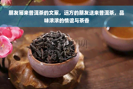 朋友寄来普洱茶的文案，远方的朋友送来普洱茶，品味浓浓的情谊与茶香