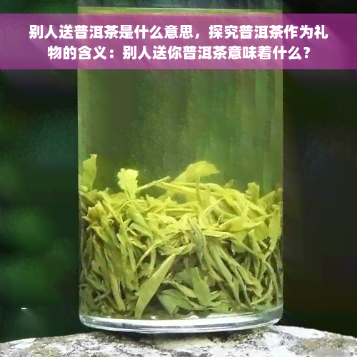 别人送普洱茶是什么意思，探究普洱茶作为礼物的含义：别人送你普洱茶意味着什么？