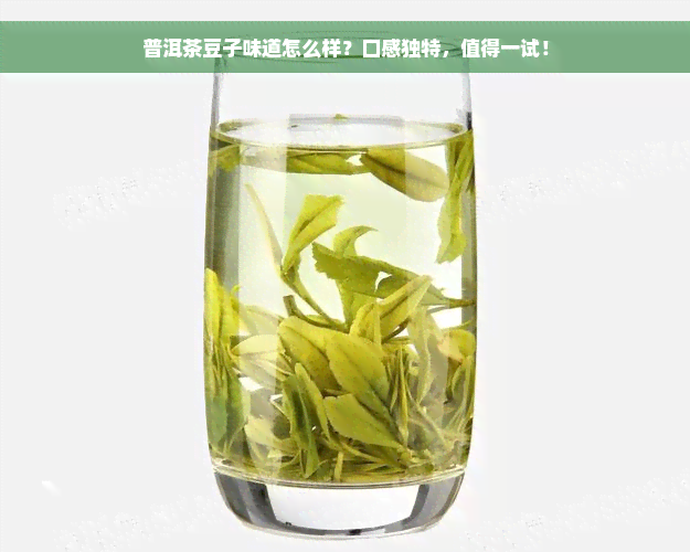 普洱茶豆子味道怎么样？口感独特，值得一试！