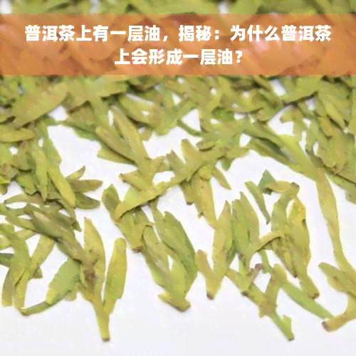 普洱茶上有一层油，揭秘：为什么普洱茶上会形成一层油？