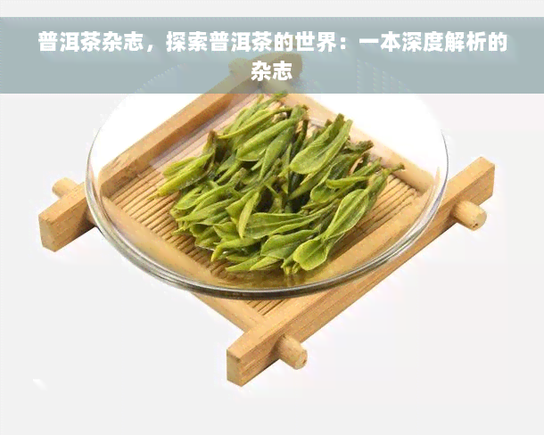 普洱茶杂志，探索普洱茶的世界：一本深度解析的杂志