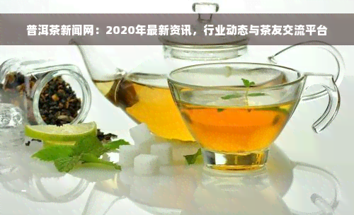 普洱茶新闻网：2020年最新资讯，行业动态与茶友交流平台