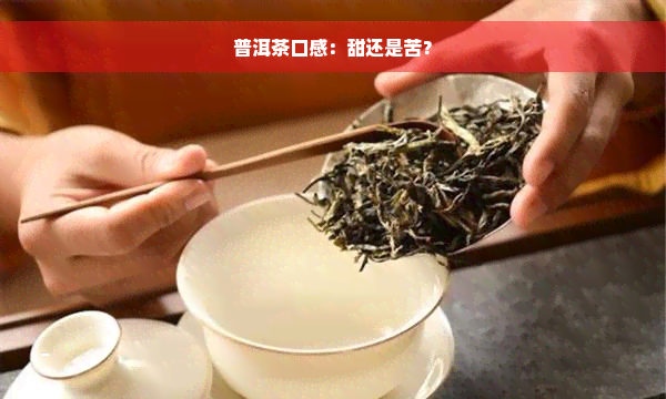 普洱茶口感：甜还是苦？